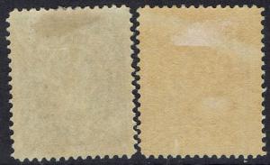 NEWFOUNDLAND 1890 QV 3C - 2SHADES