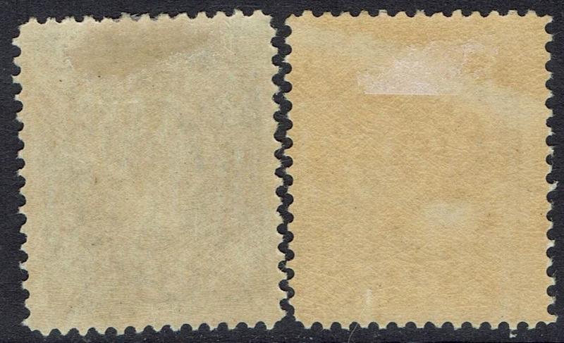 NEWFOUNDLAND 1890 QV 3C - 2SHADES