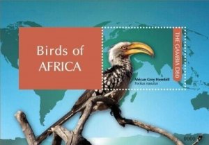 Gambia 2011 - Birds of Africa - Souvenir stamp sheet - Scott #3399 - MNH