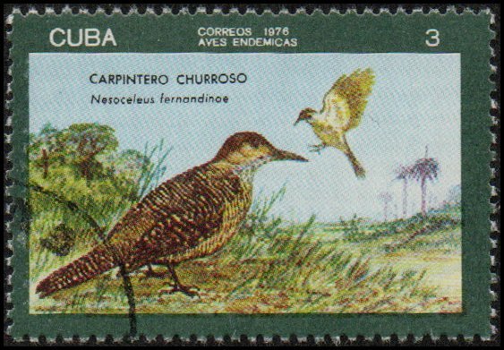 Cuba 2071 - Cto - 3c Fernandina's Flicker (1976)