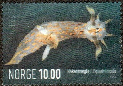 Norway 1466 - Used - 10k Dorid Nudibranch (2006) (cv $2.35)