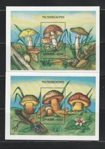 Ghana 1145-1146 Souvenir Sheets MNH Mushrooms (B)