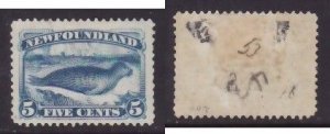 Newfoundland-Sc #55- id24-unused heavy hinged og 5c Seal-1894-album page adhesio