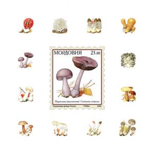 RUSSIA LOCAL SHEET IMPERF MUSHROOMS