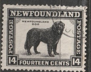 Newfoundland #194 Used VF  (~1406)