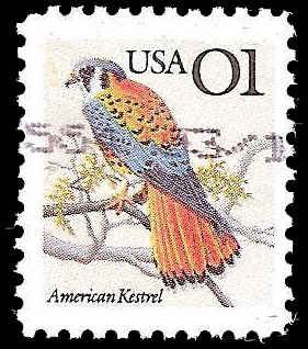 # 2476 USED KESTREL