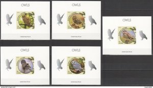 Lx499 Imperf 2016 Sierra Leone Fauna Birds Owls Uv Cardboard 5Bl Mnh