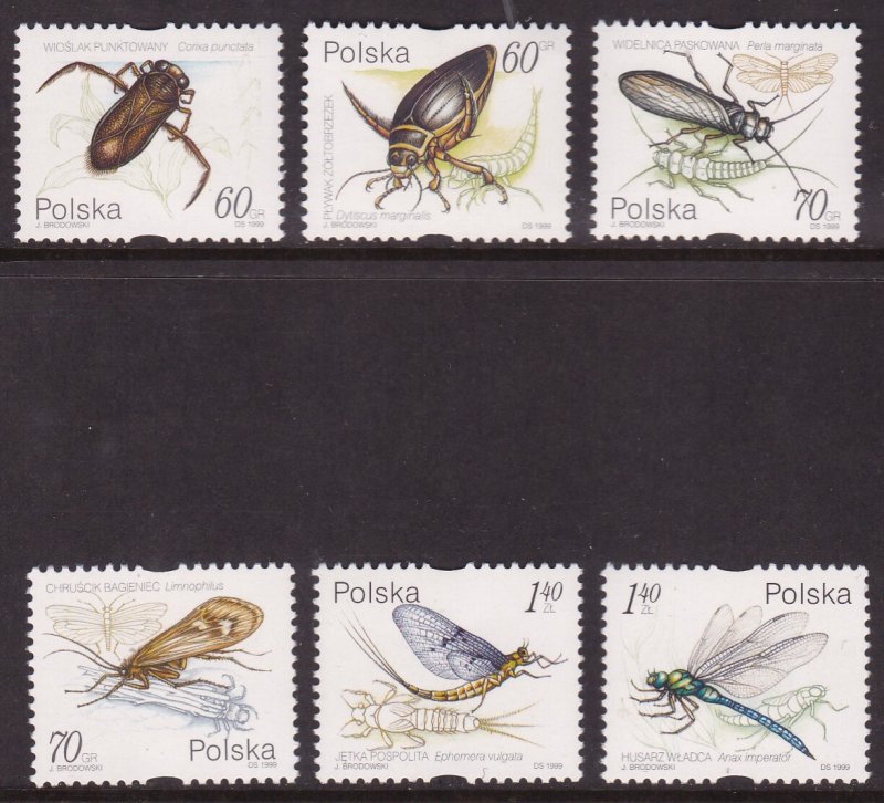 Poland, Fauna, Insects MNH / 1999