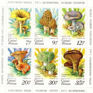 Guinea Bissau 1985  Sc#635 Mushrooms-Fungi Sheetlet (6) MNH