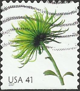 # 4176 USED CHRYSANTHEMUM