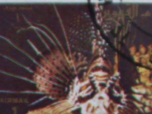 ​UMM AL QIWAIN 1973- TROPICAL FISH-UNDER WATER WORLD-CTO MINI SHEET VERY FINE