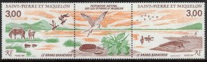 ST PIERRE & MIQUELON 1987 Great Barachoise Nature Reserve; Scott 505a; MNH