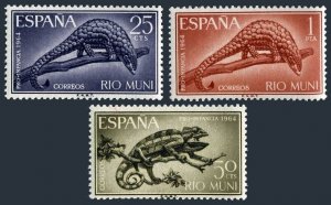 Rio Muni 32-34, MNH. Michel 45-47. Child welfare 1964. Tree pangolin.