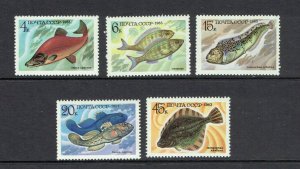 RUSSIA - 1983 FOOD FISH - SCOTT 5164 TO 5168 - MNH