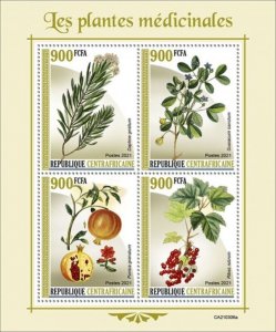 Central Africa - 2021 Medical Plants, Pomegranate - 4 Stamp Sheet - CA210306a