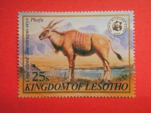 LESOTHO, 1981, MNH 25s,  WWF,Wildlife.Cape eland Scott 353