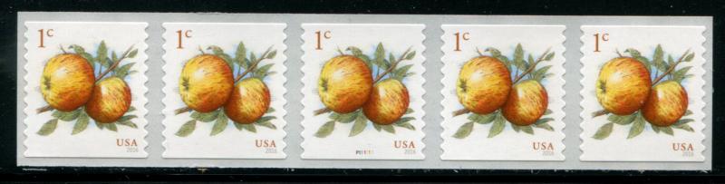 5037 US 1c Apples SA coil, MNH PNC/5 #P111111 w/o back #