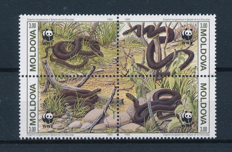 [54198] Moldova 1993 Reptiles WWF Snakes MNH