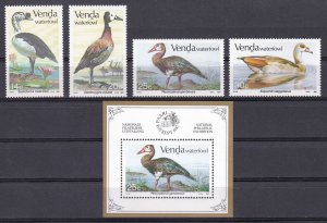 Venda / South Africa, Fauna, Birds MNH / 1987