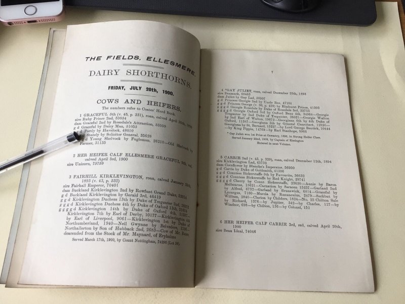 The Field Ellesmere Mr E. K. Bickley’s Shorthorn Herd 1900  Sale Ref  53899