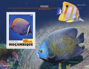 Mozambique - 2020 Redtail Butterflyfish - Stamp Souvenir Sheet - MOZ200207b