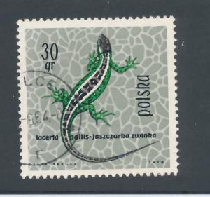 Poland 1963 Scott 1134 used - 30g,  Sand lizard