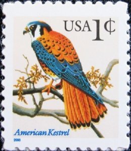 2000 1c American Kestrel Scott 3031a Mint F/VF NH