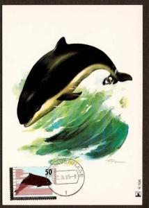 NETHERLAND 1985 MARINE LIFE, DOLPHIN, SEALS SET OF 2 MAXIMUM CARDS # 7831