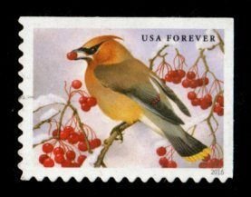 United States #5127 used