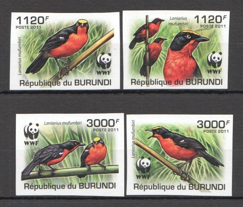 Ss0987 Imperf 2011 Burundi Fauna Birds Wwf Set Mnh