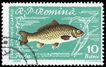 ROMANIA   #1388 USED (2)