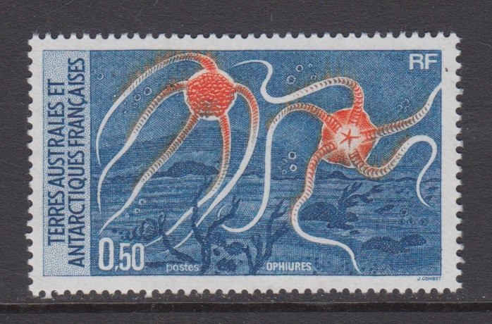 French Southern & Antarctic Territories    #125    mnh       cat $0.55