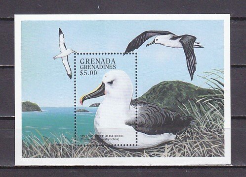 Grenada, Gr., Scott cat. 2038. Yellow-Nosed Albatross s/sheet. ^