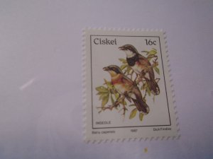 South Africa  Ciskei  #  19   MNH  Birds