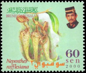 Brunei #556-558, Complete Set(3), 2000, Flowers, Never Hinged