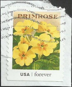 # 4763 USED PRIMROSE