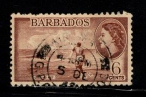 Barbados - #240 Casting Net - Used