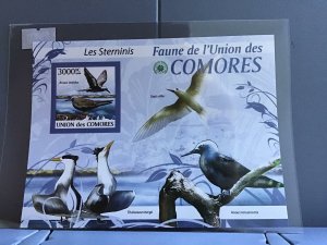 Comoro Islands 2009 Sea Birds  mint never hinged stamps sheet R24101