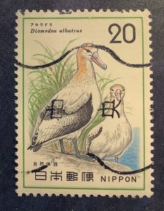 Japan 1975 Scott 1199 used- 20y,  Nature conservation, Short-tailed Albatrosses