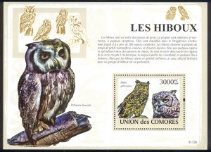 Comoro Islands - 2009 s/s of 1 Owls #1088 cv $ 15.50 Lot # 96