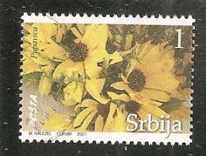 Serbia  Scott 367   Flower   Used