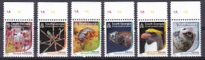 South Georgia, Fauna, Birds, Animals, Fishes, Insects, Biodiversity MNH / 2015