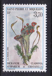 St.Pierre-Miquelon 612 MNH 1995 Insect & Flower