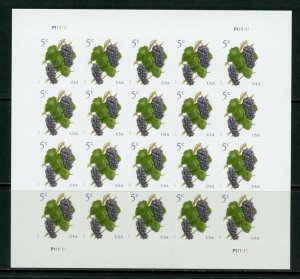 UNITED STATES SCOTT#5177  5c GRAPES  SHEET OF 20  MINT NEVER HINGED