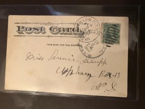 Post Card 1907 Willow City North Dakota 