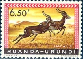 Ruanda Urundi 1959-61; Scott # 146; MH/* Single Stamp