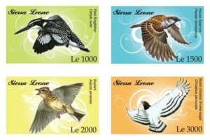 Sierra Leone 2009 - Birds of Africa - Set of 4 Stamps - Scott 2961-4 MNH - Perf