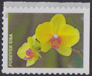 US 5558-5567 Garden Beauty forever set (10 stamps) MNH 2021