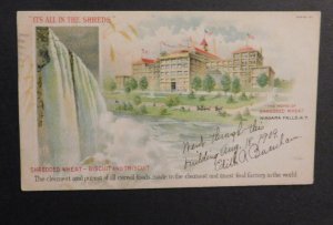 1909 USA Postcard Niagara Falls NY to Fredonia NY Shredded Wheat Triscuit