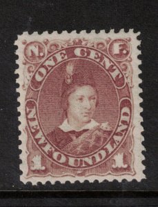 Newfoundland #41 Very Fine Never Hinged **With Certificate**